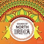 Sounds Of North India - Shrikant Narayan Song Download